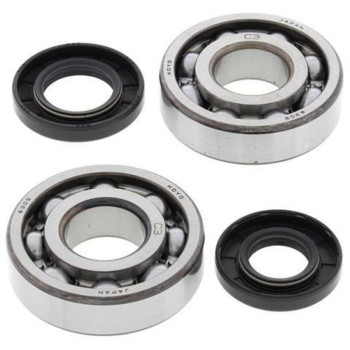 ALL BALLS crankshaft bearing and oil seal kit