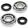 ALL BALLS crankshaft bearing and oil seal kit