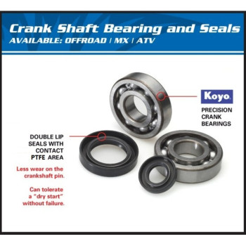 ALL BALLS crankshaft bearing and oil seal kit