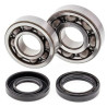 ALL BALLS crankshaft bearing and oil seal kit