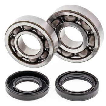 ALL BALLS crankshaft bearing and oil seal kit