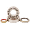 HOT RODS crankshaft bearing and oil seal kit