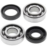ALL BALLS crankshaft bearing and oil seal kit