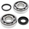ALL BALLS crankshaft bearing and oil seal kit