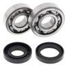 ALL BALLS crankshaft bearing and oil seal kit