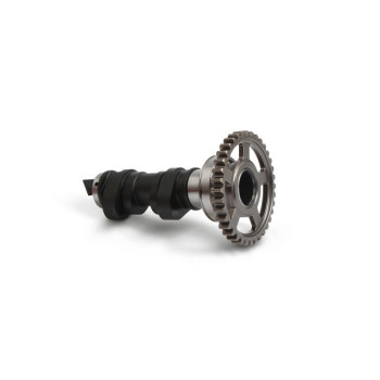 HOT CAMS single camshaft - level 1