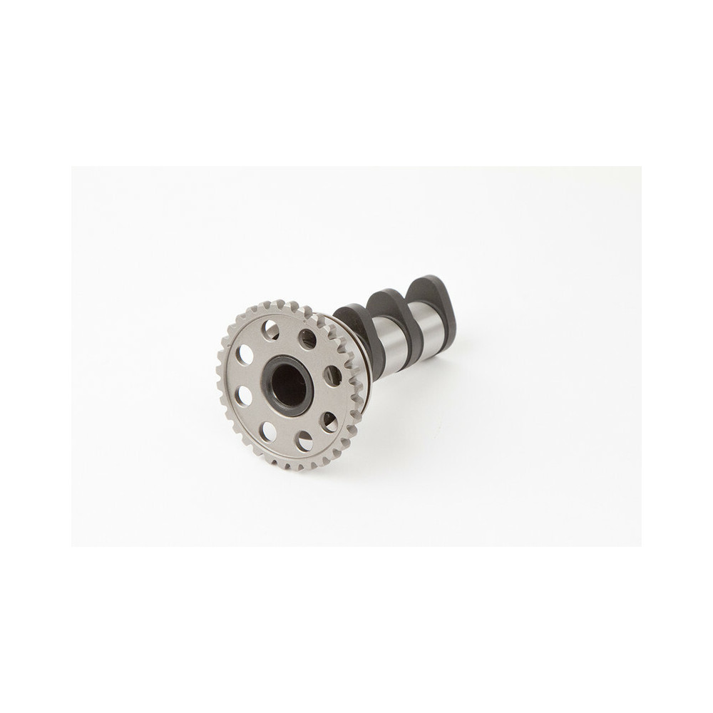 HOT CAMS Camshaft - Level 1 Honda XR250R