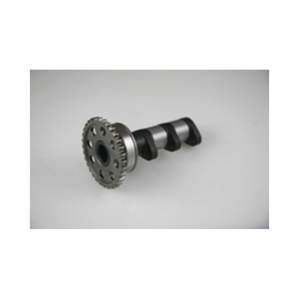 HOT CAMS exhaust camshaft - Level 1