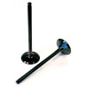 VERTEX titanium intake valve
