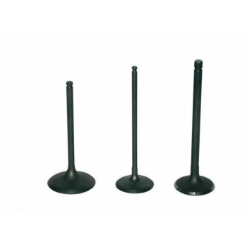 PROX titanium exhaust valve
