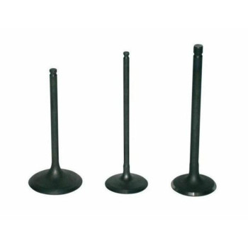 VERTEX titanium exhaust valve