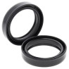 Joints spi de fourche ALL BALLS - 41x53x10,5