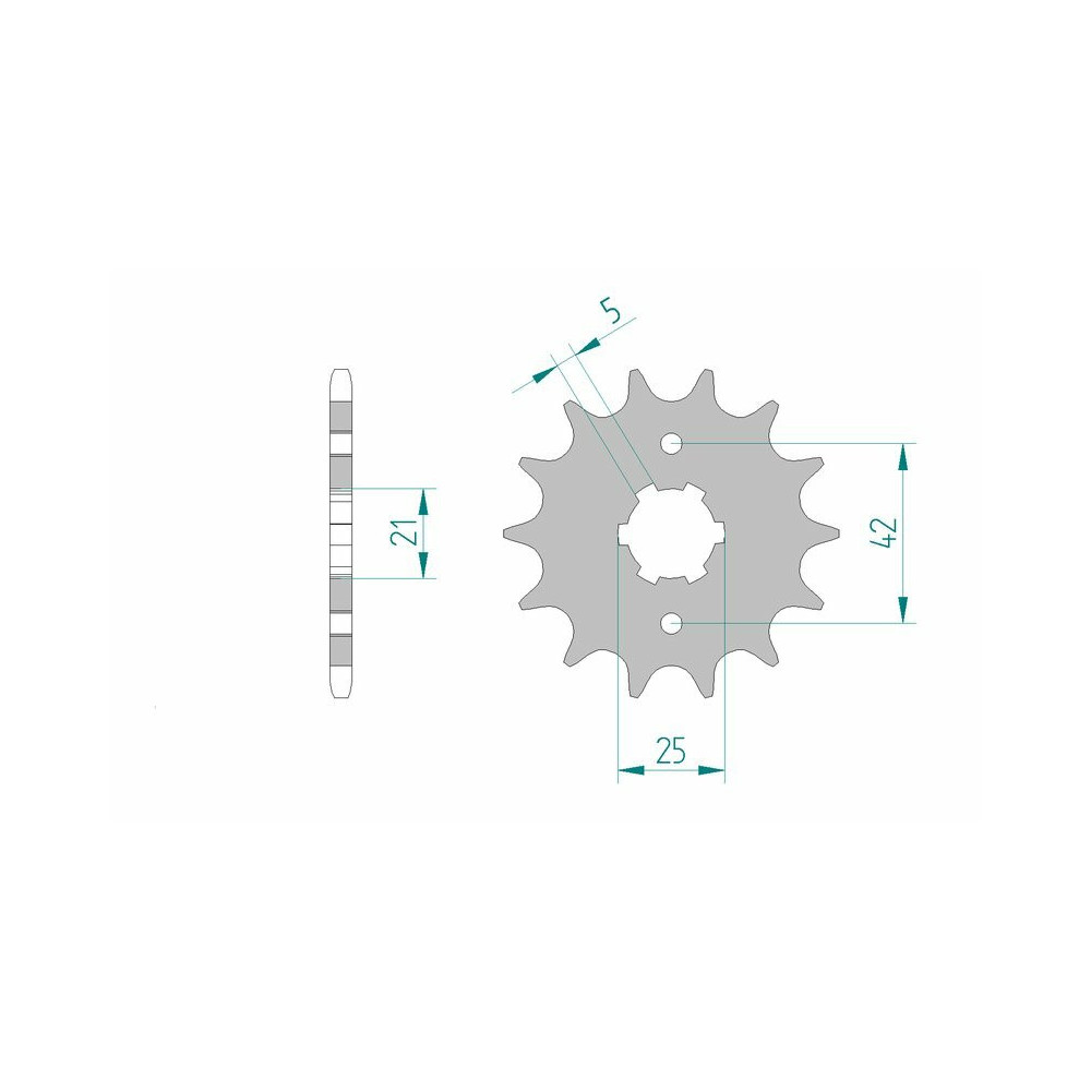 AFAM standard steel sprocket 21301 - 520