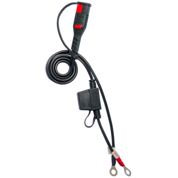 BS BATTERY BS10 Smart Battery Charger - 6V/12V 1A